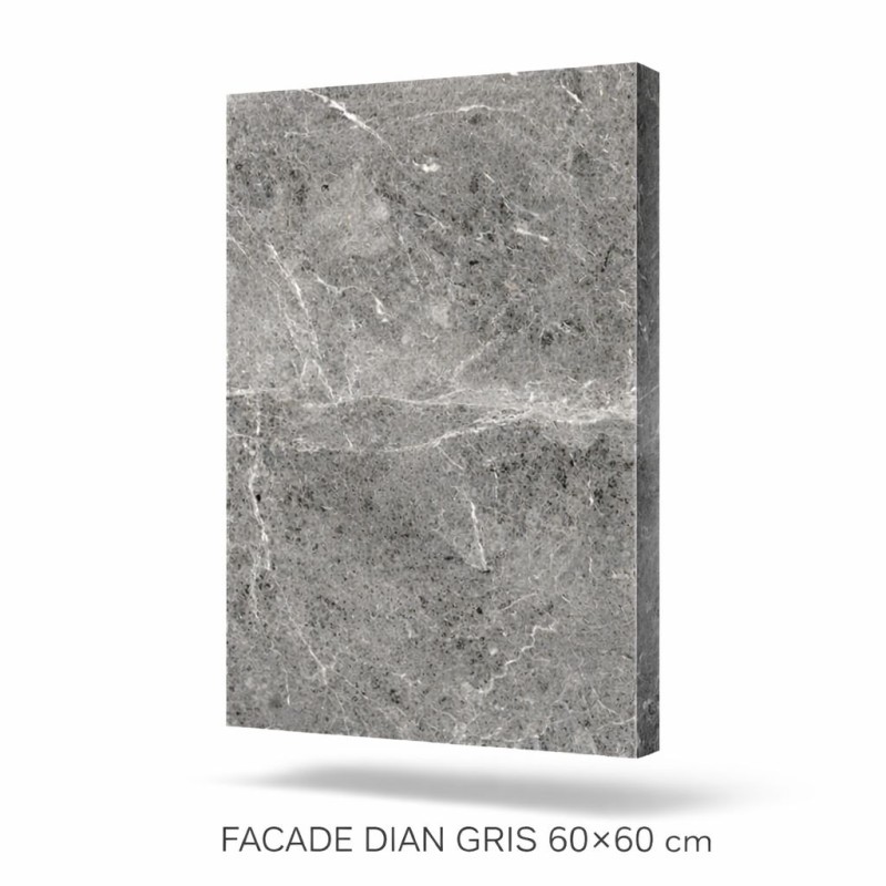 MATTE TILE FOR WALLS, FLOOR, FACADE DIAN GRIS 60X60CM AM-2401