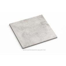 MATTA LAATTA SEINIIN, LATTIOIHIN JA JULKISIVUUN AMMONITE BIANCO 60X60CM AM-2664