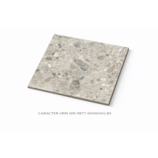 CERAMIC GRANITE 60X60X0,85 CARACTER GRIS MIX RETT