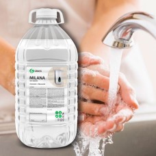 Vedelseep Milana Econom 5 kg Grass