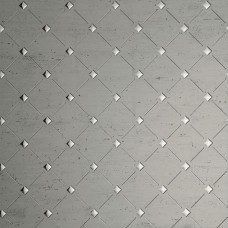 DISAIN PLAAT 48016 LIIMITAV 60X100CM PLAATINA HÕBE