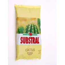 MULD KAKTUSTELE 3L