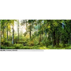 KLAASPILT 50X125CM GL319