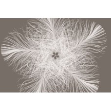FOTOTAPEET XXL4-006 FLIIS
