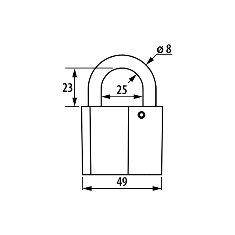 PADLOCK 






 STANDARD 49mm