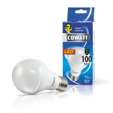 PIRN ECOWATT 11W E27 LED KÜLM