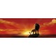 FOTOTAPEET 1-418 DISNEY SOODUS