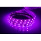 VALGUSTI LED-LINT 5M 60LED IP65