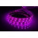 VALGUSTI LED-LINT 5M 60LED IP65