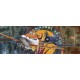 FOTOTAPEET 1-464 DISNEY