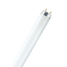TORULAMP OSRAM 30W/840 T8