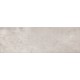 Wall tile  20X60 CONCRETE STYLE LIGHT GREY