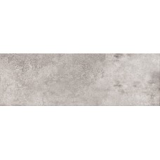 Wall tile  20X60 CONCRETE STYLE GREY