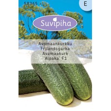 SEEDS SUMMERYARD ALPACA OPEN FIELD 10s