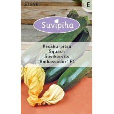 SEEDS SUMMER PUMPKIN AMBASSADOR EARLY F1 2gr