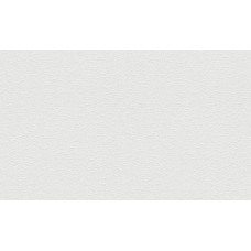 STRUKTUURTAPEET 183610 1,06x25