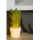 Ceiling lamp SANSEVIERIA 13522/01/33 1x25W E14 table