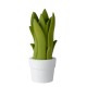 Ceiling lamp SANSEVIERIA 13522/01/33 1x25W E14 table