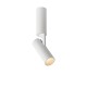 Ceiling light GREG LED 13W Ø5cm White