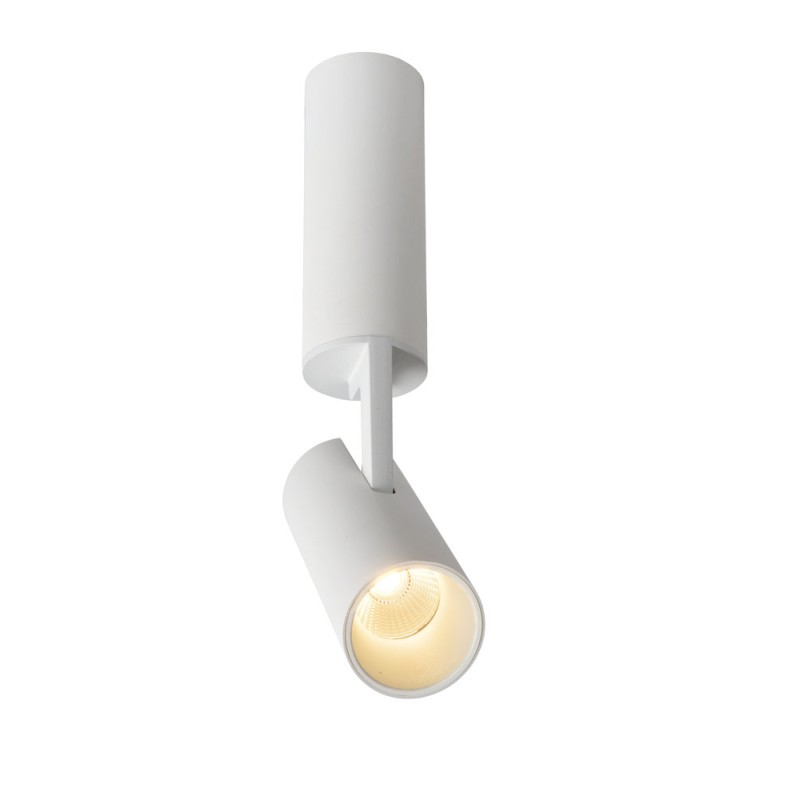 Ceiling light GREG LED 13W Ø5cm White