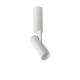 Ceiling light GREG LED 13W Ø5cm White