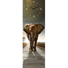 SEINAKELL KLAASIST KAI ELEFANT 20X60CM