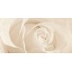 DECOR 29,7X60 EFFECTA BEIGE