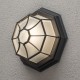 VALGUSTI BUDGET FLUSH 7091-750 60W E27 MUST IP23