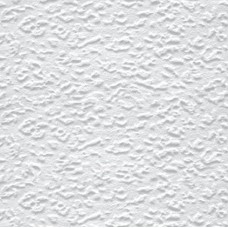 RIPPLAE PLAAT ECOPHON POP-15 600x1200 VALGE