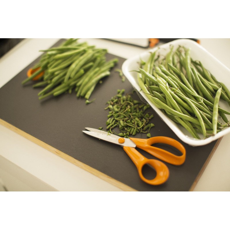 FISKARS KÖÖGIKÄÄRID