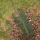 PLASTVÕRK QUADRA ROHELINE 1X5 M