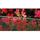 PLASTVÕRK QUADRA ROHELINE 1X5 M