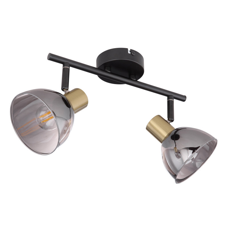 Ceiling light GLOBO 54305-2 JAY 2x25W E14 Black/Smoked