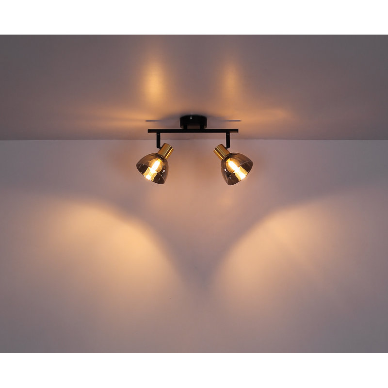 Ceiling light GLOBO 54305-2 JAY 2x25W E14 Black/Smoked
