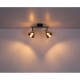 Ceiling light GLOBO 54305-2 JAY 2x25W E14 Black/Smoked