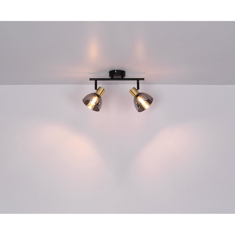 Ceiling light GLOBO 54305-2 JAY 2x25W E14 Black/Smoked
