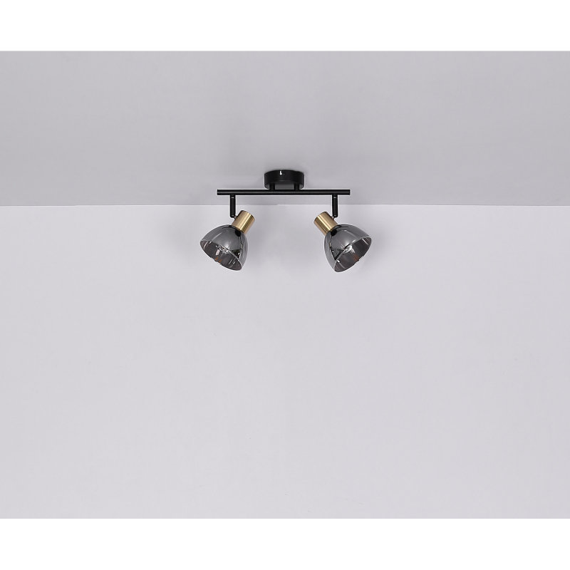 Ceiling light GLOBO 54305-2 JAY 2x25W E14 Black/Smoked