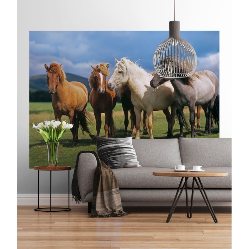 Photo wallpaper SD001