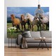 Photo wallpaper SD001
