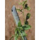 TAIMETUGI KÖÖGIVILJADELE 1800 MM Grey PVC