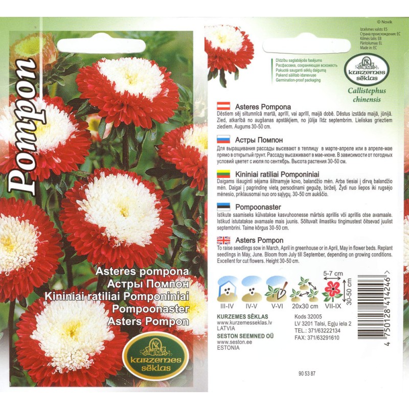 SEEMNED POMPOONASTER PUNANE VALGE SÜDAMIKUGA 5gr