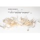 РОЖДЕСТВЕНСКИЙ СВЕТ LED-RPLR-100WW-FL ЗОЛОТОЙ,Сверкающий,СВЕТ