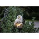 PÄIKESEPANEELIGA DEKORATSIOON OWL