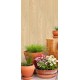 WALL PANEL PVC 8X105X2600 MÄND