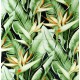 DECOR 61,8X60,8X1,0 D-FLORIS