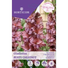 LILLESIBUL GLADIOOL RUSTY CHESTNUT/ 7tk