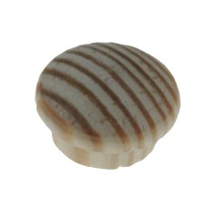14 mm Pine Plug, 8 pcs