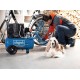 COMPRESSOR SCHEPPACH HC25Si 24L ÕLIVABA VAIKNE
