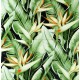 DECOR 61,8X60,8X1,0 D-FLORIS/ 2tk