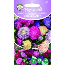 SEEMNED VITA VERDE AEDASTER COLOUR CARPET